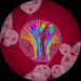 Microscopia de Polarização na Citologia: Análise de Estruturas Birrefringentes 8 microscopia de polarizacao na citologia analise de estruturas birrefringentes
