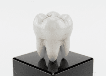 nomenclatura e morfologia dental