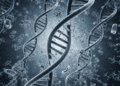 o nucleo celular centro de controle genetico e armazenamento do dna